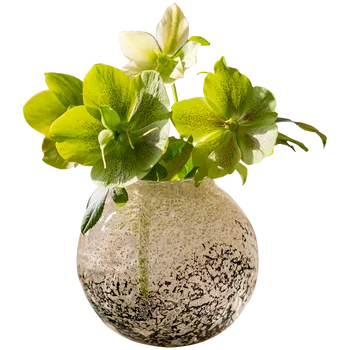 Стеклянная ваза ручной работы Pangu, Большая бутылка с животом, Цветочная композиция, Чувство дизайна водяных растений, Украшения для гостиной, обеденного стола 1